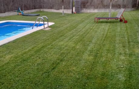 Manteniment/tall de gespa natural Manteniment/tall de gespa natural